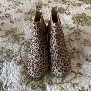 Leopard print TOMS booties